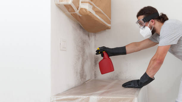 Professional Mold Removal technician working in Ludington, MI