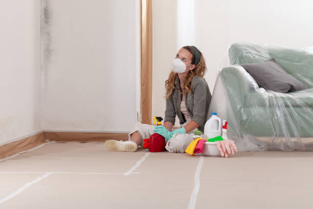 Reliable Mold Removal contractor in Ludington, MI by Car Mold Remediation
